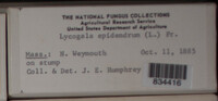 Image Associated With the Occurence